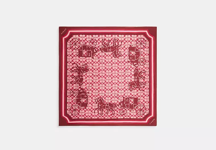 Coach horse carriage scarf image 2